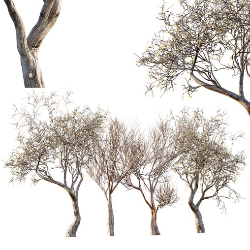 Dry Or Dead Tree 03 3d model Download Maxve