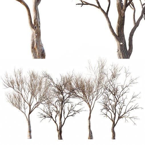 Dry Or Dead Tree 02 3d model Download Maxve