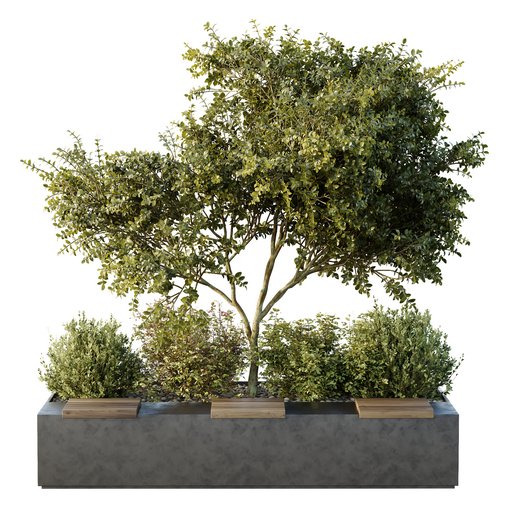 HQ Tree and bush garden box outdoor VOL 54 3d model Download Maxve