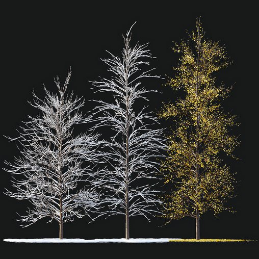 Winter Snow and fall Tree 02 3d model Download Maxve