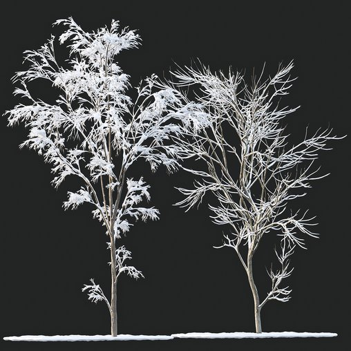 Winter Snow Tree 01 3d model Download Maxve