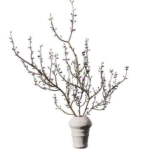 Dry Branches Bouquet29 3d model Download Maxve