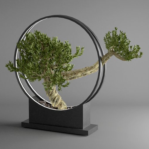 bonsai tree in pot 10 3d model Download Maxve