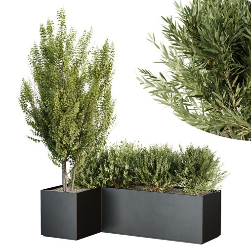 HQ Tree and bush garden box outdoor VOL 57 3d model Download Maxve
