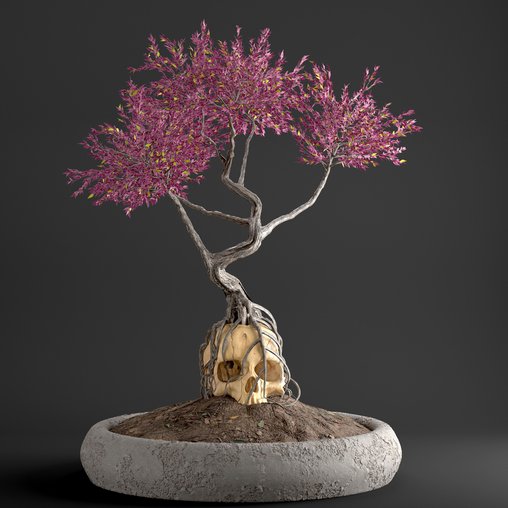 bonsai on skull in pot 09 3d model Download Maxve
