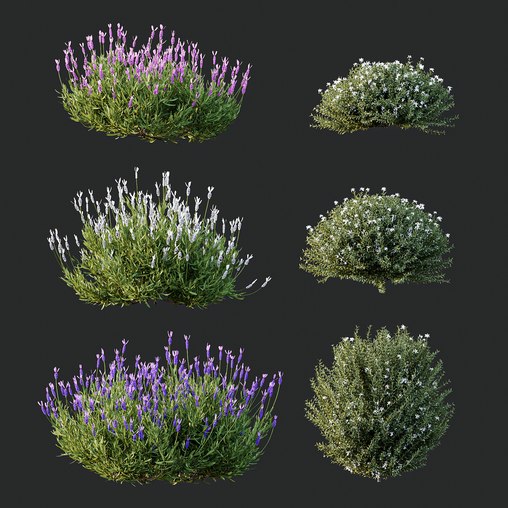 spring Flowering bush 3d model Download Maxve