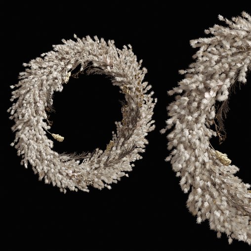Wall hanging Pampas Ring 3d model Download Maxve