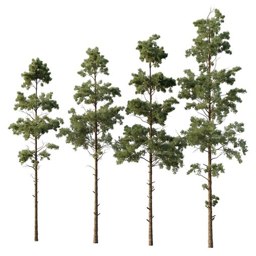 Pin Tree 06 3d model Download Maxve
