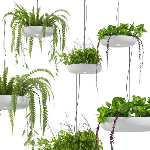 Indrid Decorative Plants White Light By Lightmakers 3d model Download Maxve