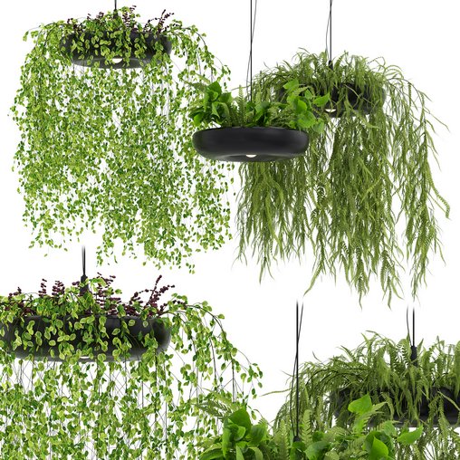 Indrid Decorative Plants Black Light By Lightmakers 3d model Download Maxve