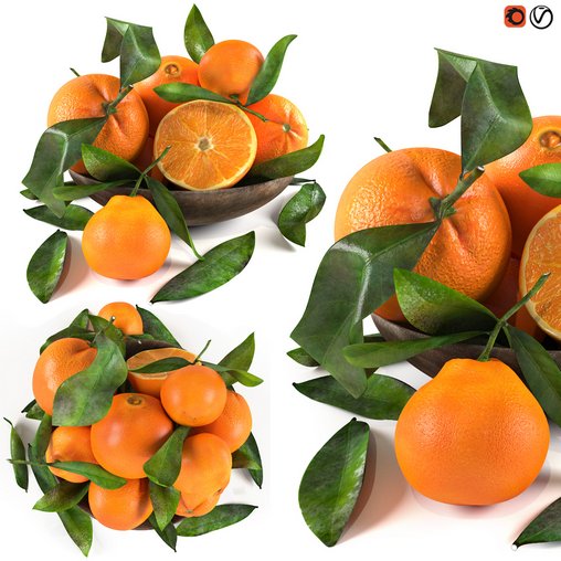 bowl of oranges 3d model Download Maxve