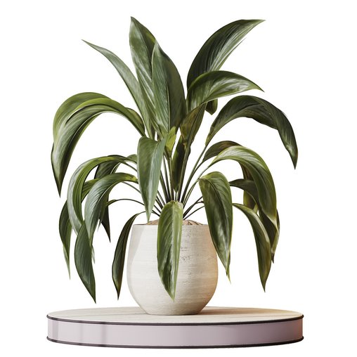 HQ HousePlants Spathiphyllum Wallisii Bellini Peace Lily Domino Set03 3d model Download Maxve