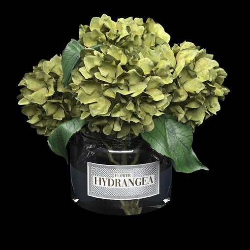 bouquet of hydrangea 3d model Download Maxve