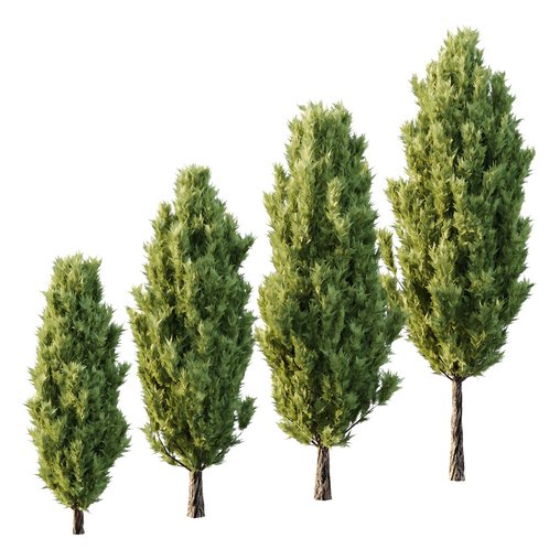 Italian Cypress Tree 19 3d model Download Maxve