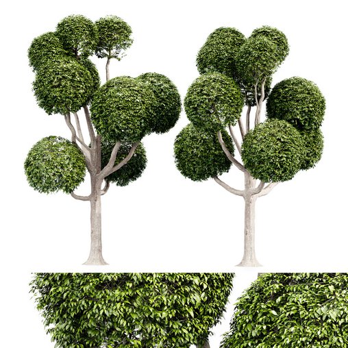 Fancy shaped decorative tree 3d model Download Maxve