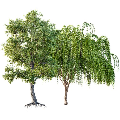 Angel Oak Live Tree Spanish Moss and Weeping Willow 3d model Download Maxve