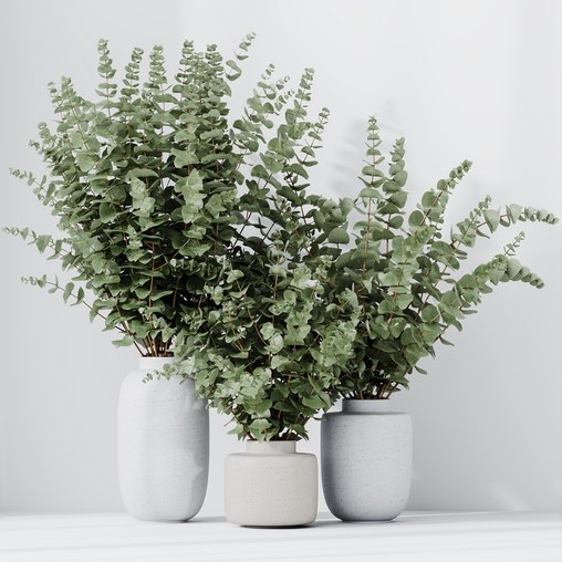 HQ HousePlants Branche Decorative Foliage Dollar Authentic Eucalyptus Bouquet Set02 3d model Download Maxve