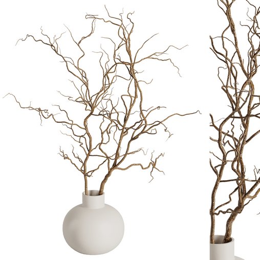 Dry branches vase Set42 3d model Download Maxve