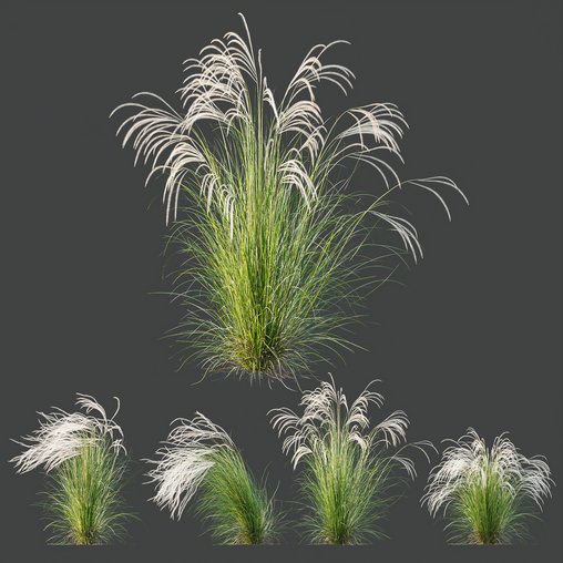 HQ Plants European Feather Stipa Pennata Grass 3d model Download Maxve