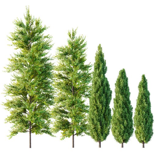 spring trees Maidenhair Ginkgo Biloba and Mediterranean Cypress 3d model Download Maxve