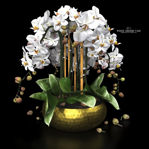 white orchid vase 3d model Download Maxve