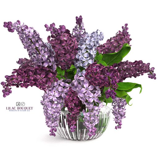 lilac bouquet 3d model Download Maxve