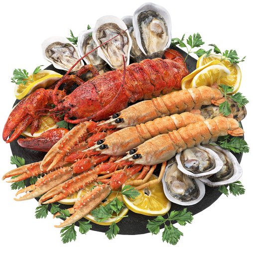 seafood platter of langoustine lobster and oyster 3d model Download Maxve