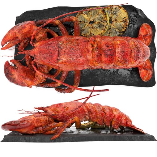 lobster set 3d model Download Maxve