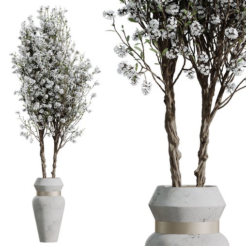 HQ HousePlants Tropez Planter Cherry Blossom Decorative Tree03 3d model Download Maxve