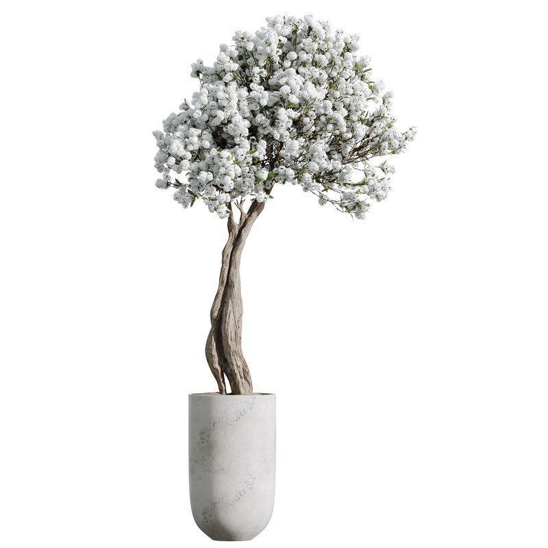 HQ HousePlants Tropez Planter Cherry Blossom Decorative Tree