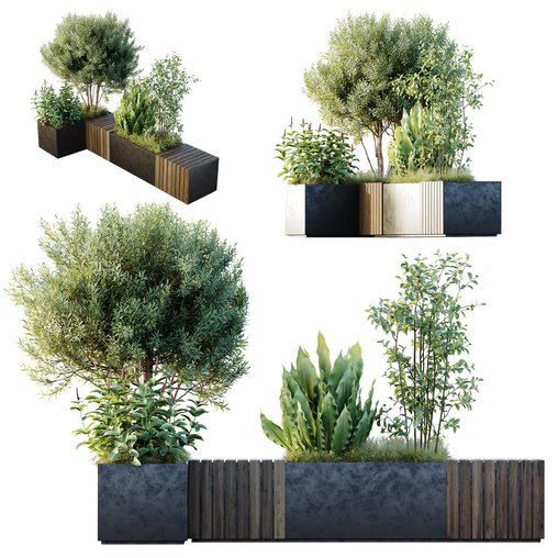 HQ Outdoor Plants Wilsonii Chemlali Olive Bench Set011 3d model Download Maxve