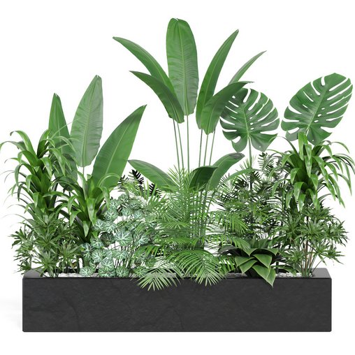 indoor outdoor plant set006 collection 3d model Download Maxve