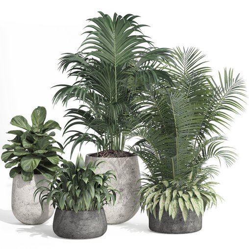 indoor plant set010 collection 3d model Download Maxve