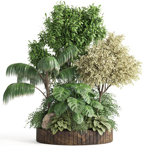 indoor plant set015 collection 3d model Download Maxve