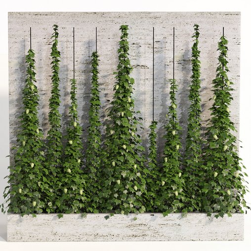 indoor vertical green wall garden01 3d model Download Maxve