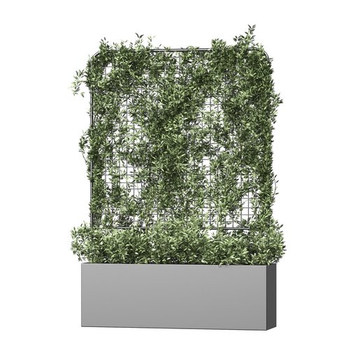 Botanical Planter 3 3d model Download Maxve