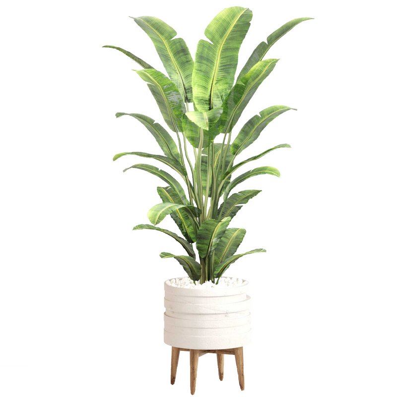 Indoor Plant Set 0128