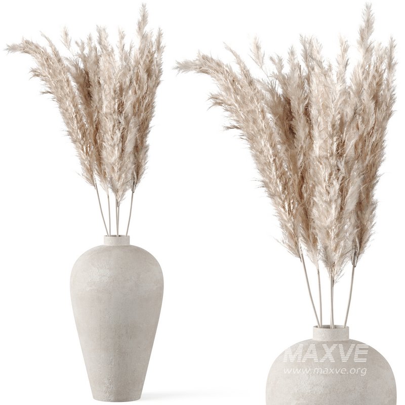 Pampas Decoration with terracotta vase