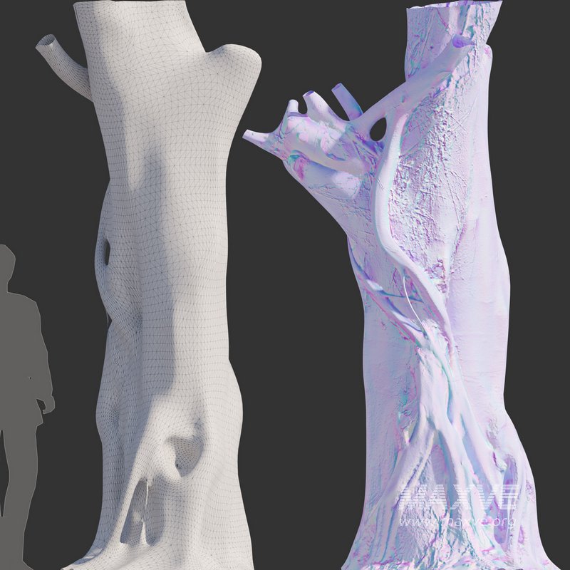 Ficcus Tree Block Ficus Tree Trunk 07 3d model Download Maxve