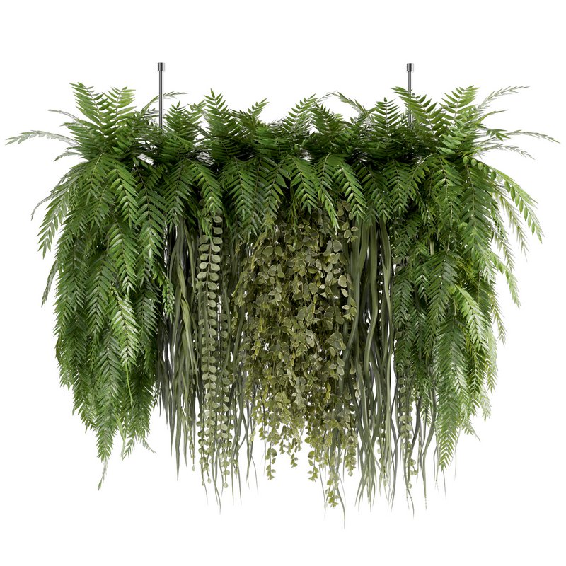 Indoorplants-Hanging plants set-63