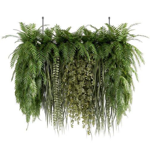 Indoorplants-Hanging plants set-63 3d model Download Maxve