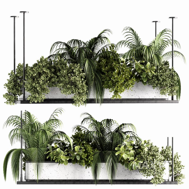 Indoorplants-Hanging plants set-64