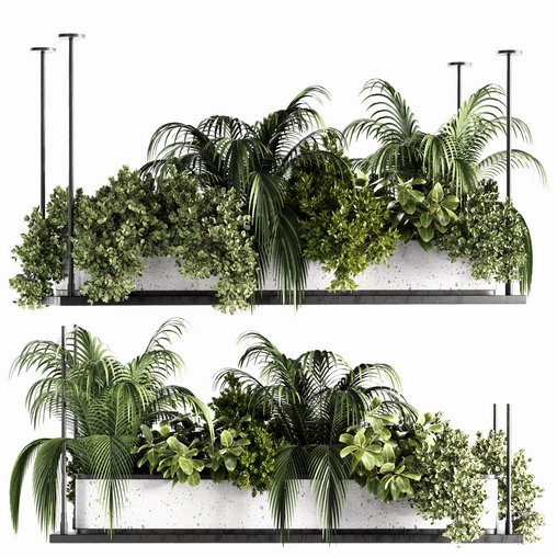 Indoorplants-Hanging plants set-64 3d model Download Maxve