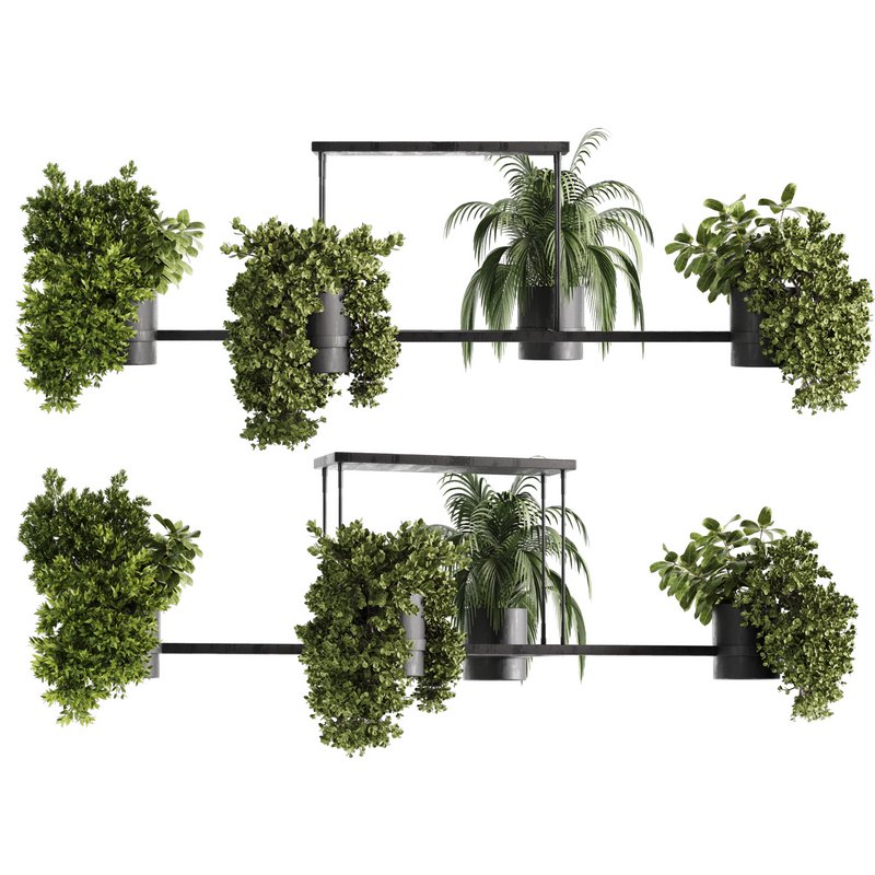 Indoorplants-Hanging plants set-65