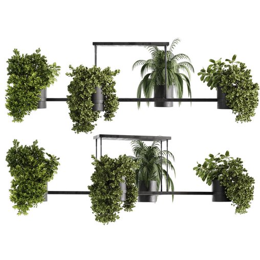 Indoorplants-Hanging plants set-65 3d model Download Maxve