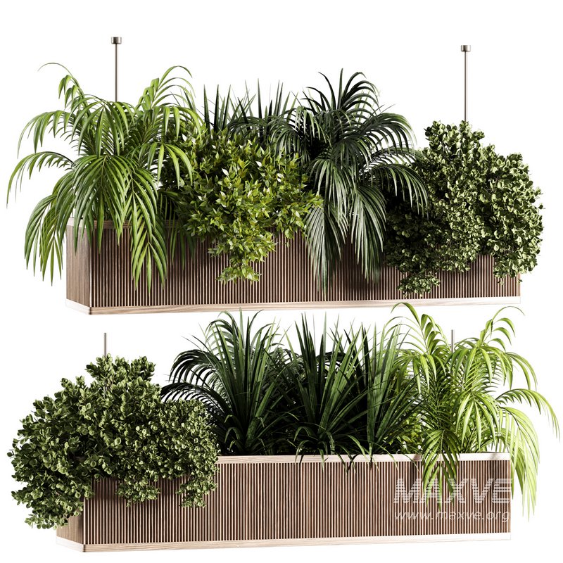 Indoorplants-Hanging set-67