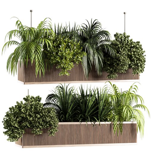 Indoorplants-Hanging set-67 3d model Download Maxve