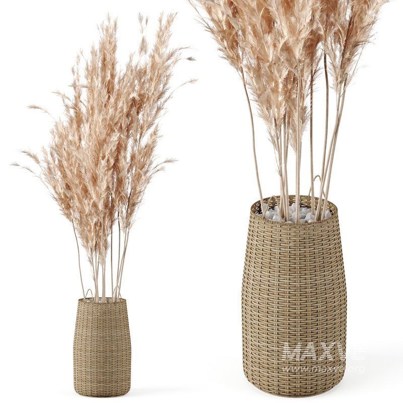 Pampas Decoration with Natural basket