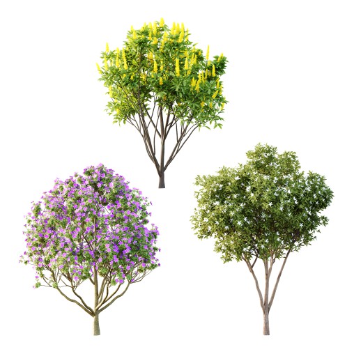 Different Tree Model Different Trees 3D model Maxve